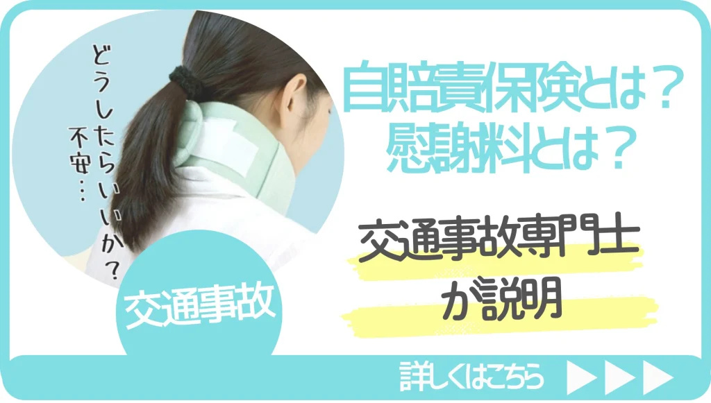 自賠責保険説明画像